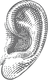 sviluppo-siti-venezia-mestre