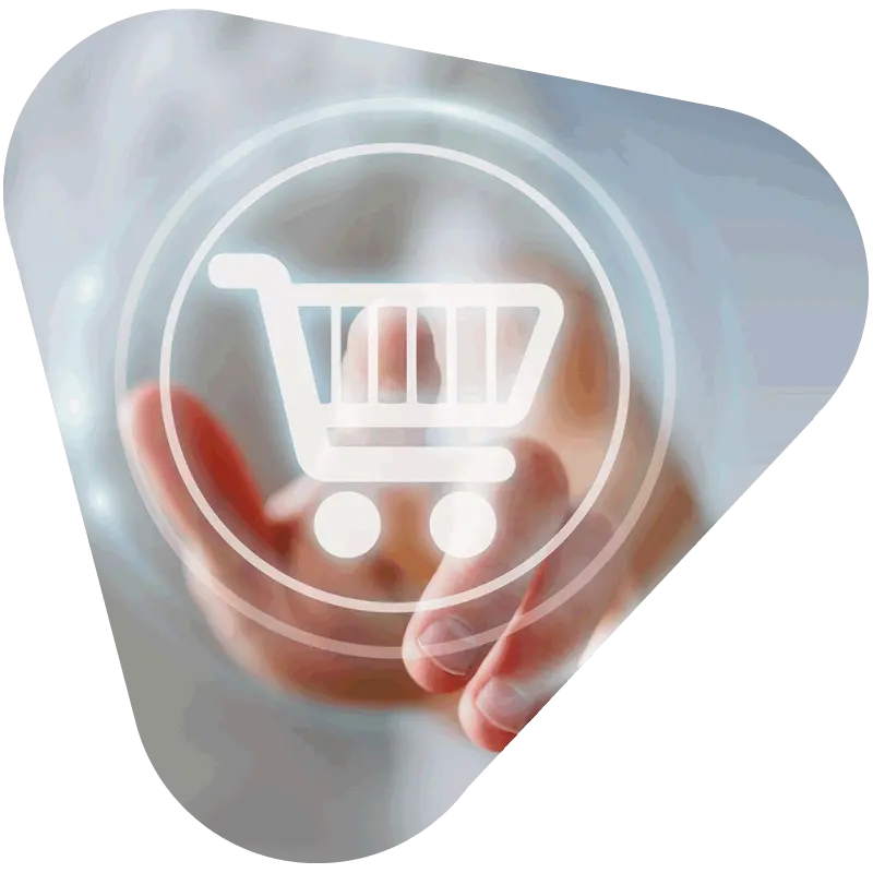 agenzia-web-specializzata-in-ecommerce-a-mestre-venezia-treviso-padova-sviluppo-e-marketing-digitale