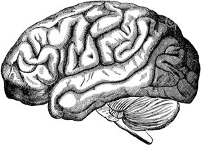 strategie-funnel-marketing-e-conversione-venezia-mestre-treviso-padova