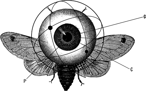 annunci-a-pagamento-e-sem-venezia-mestre-treviso-padova